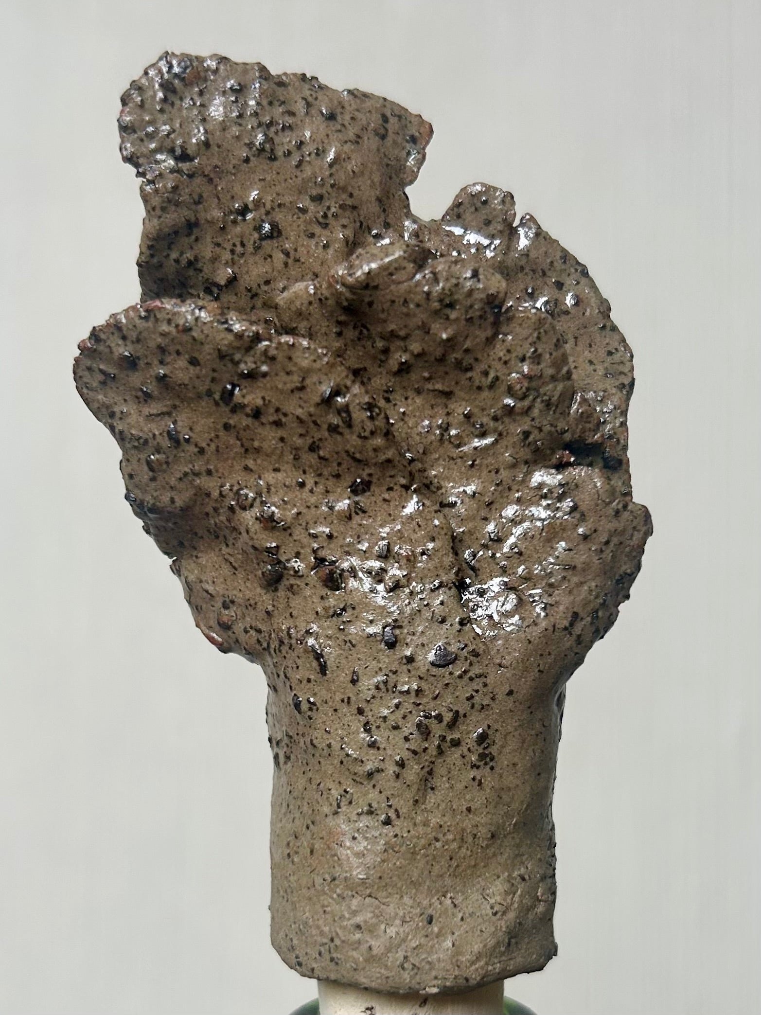 Image at position 1
