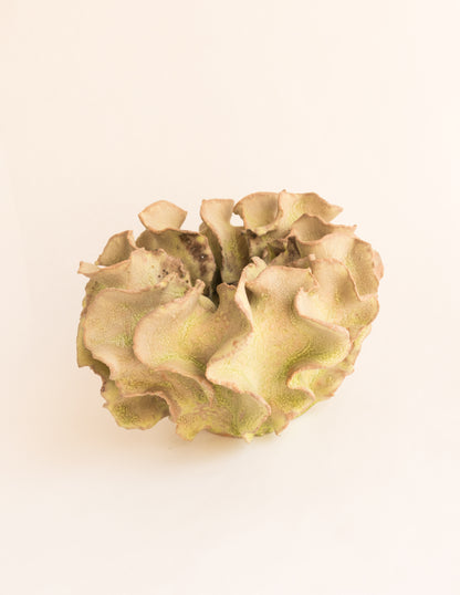 Image at position 4