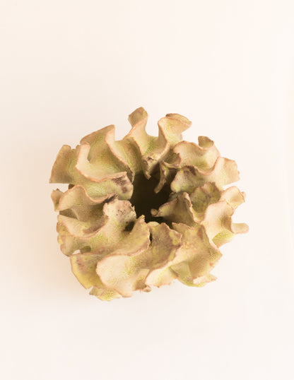 Image at position 3