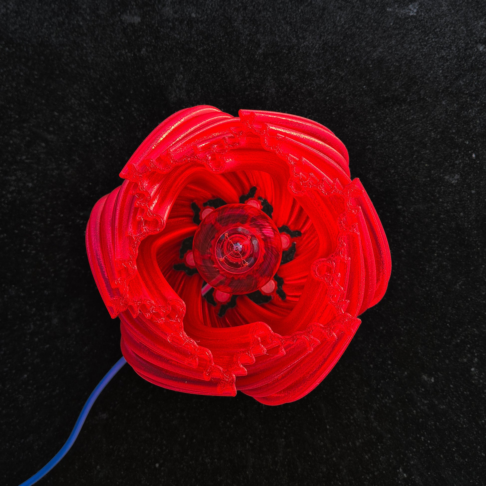Image at position 6