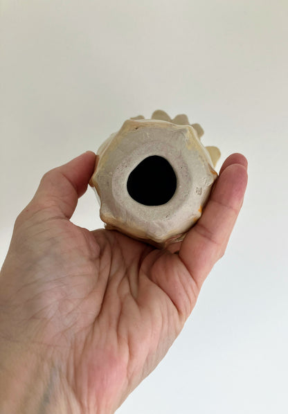 Image at position 6