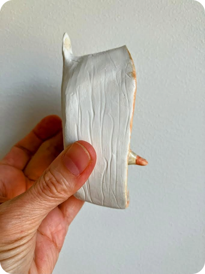 Image at position 5