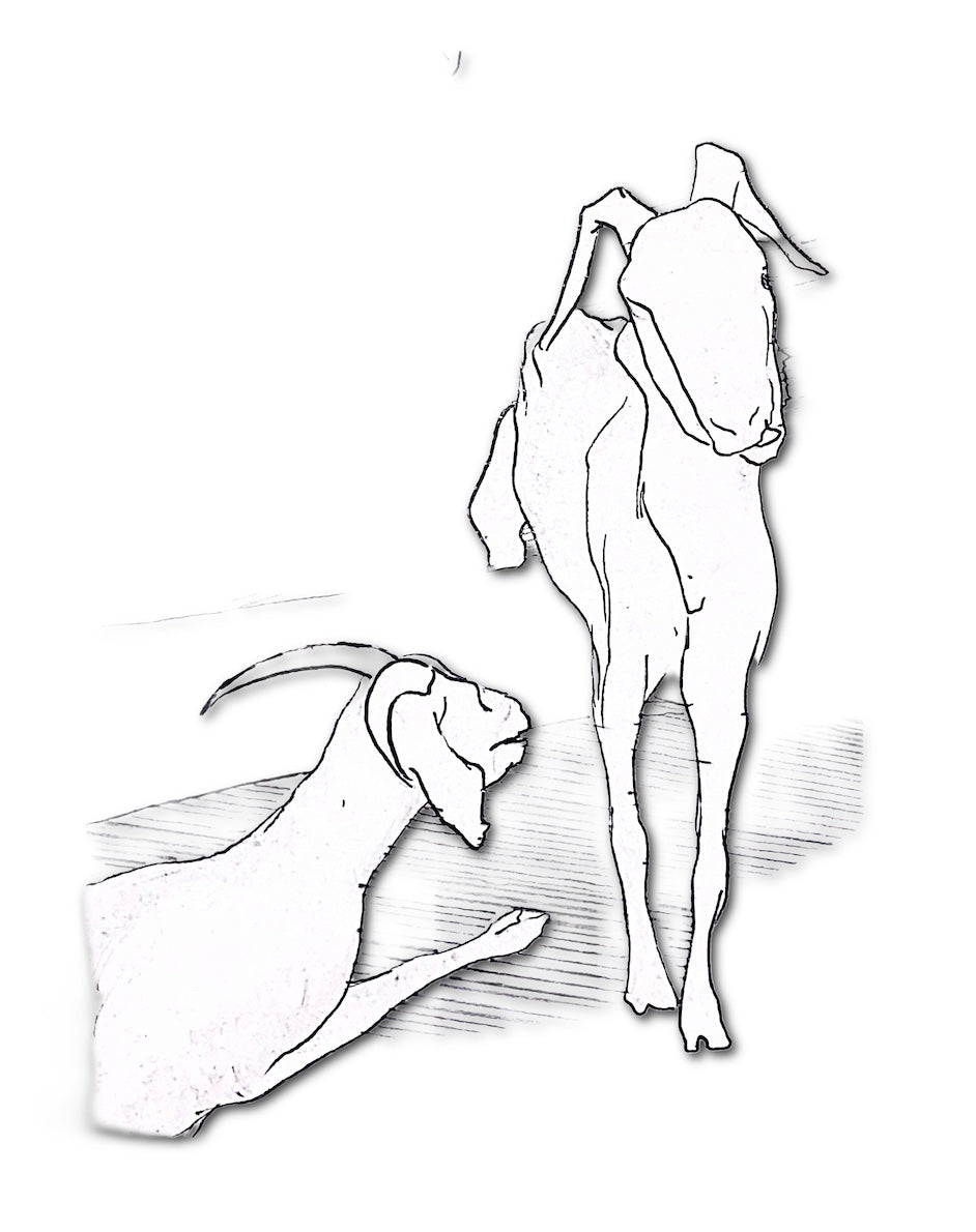 Image at position 3