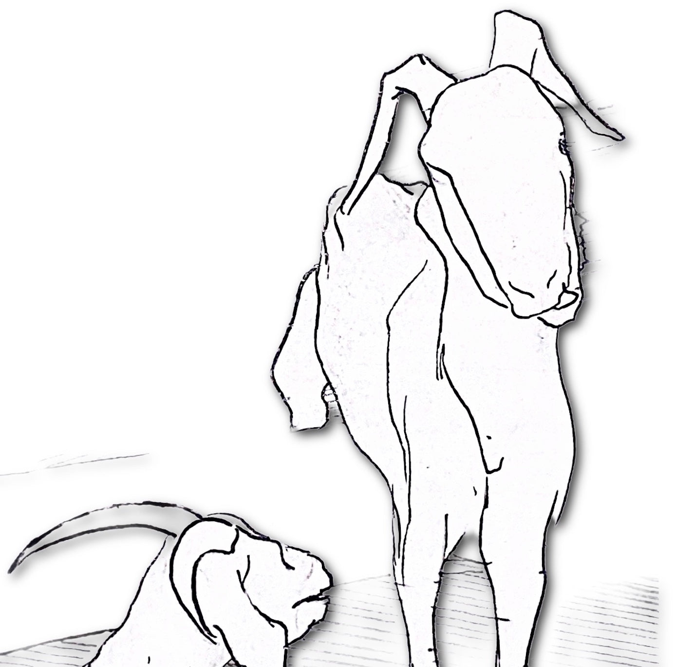 Image at position 2