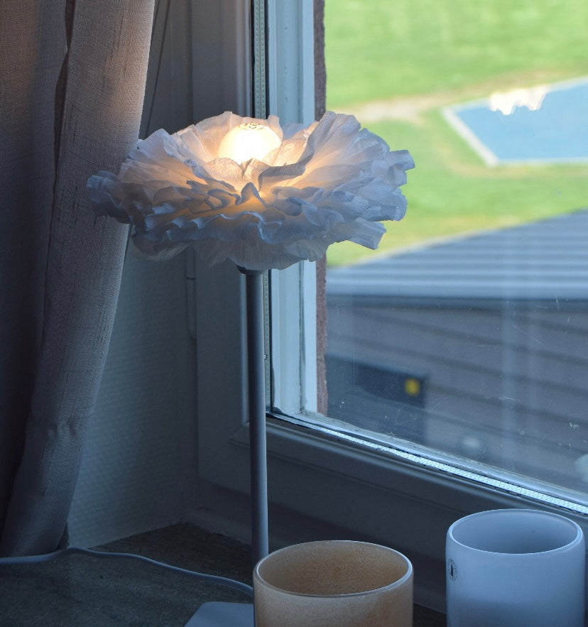 Image at position 1