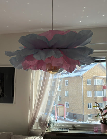 Image at position 1