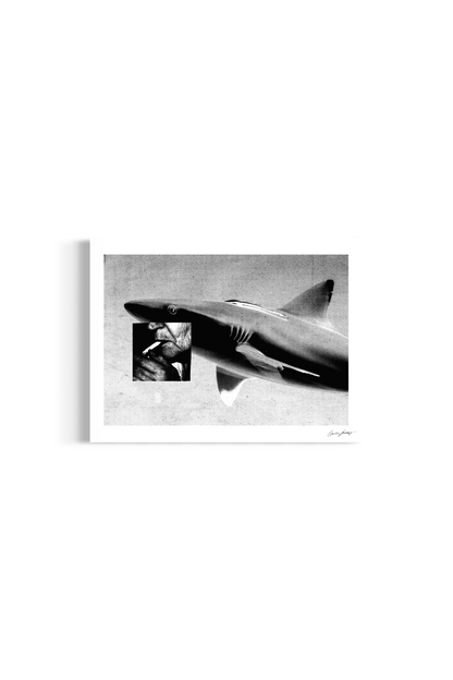 Image at position 2
