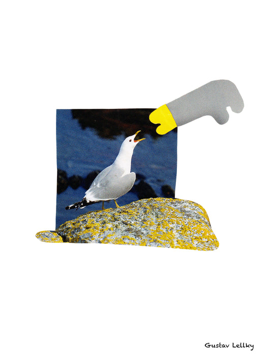 Image at position 1