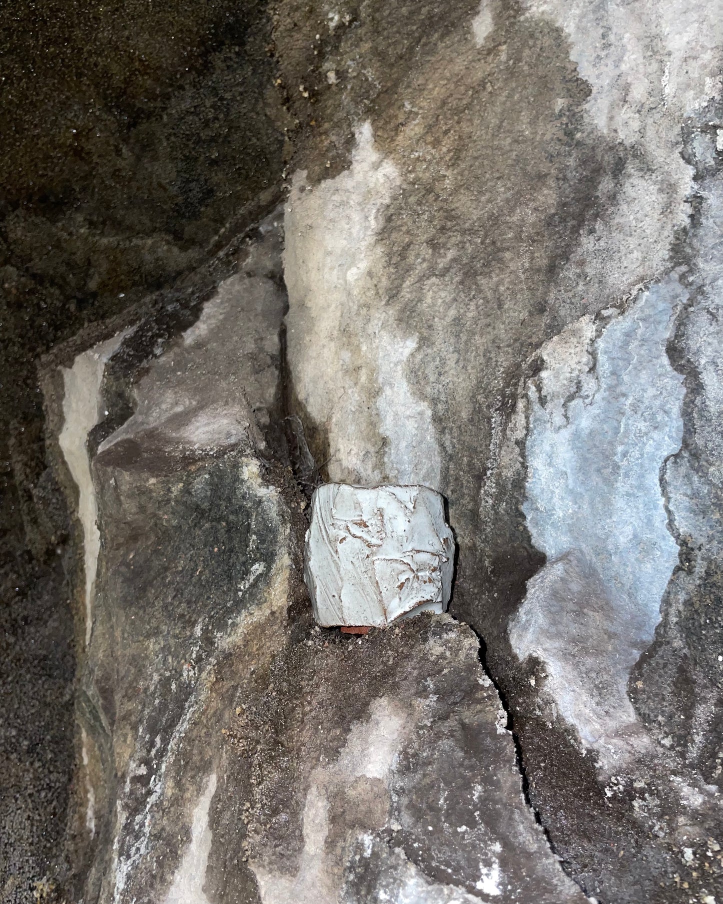 Image at position 1