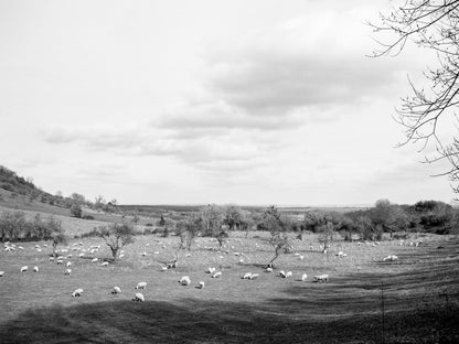 Image at position 2