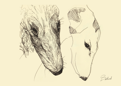 Image at position 2