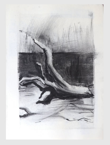 Image at position 1