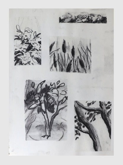 Image at position 1