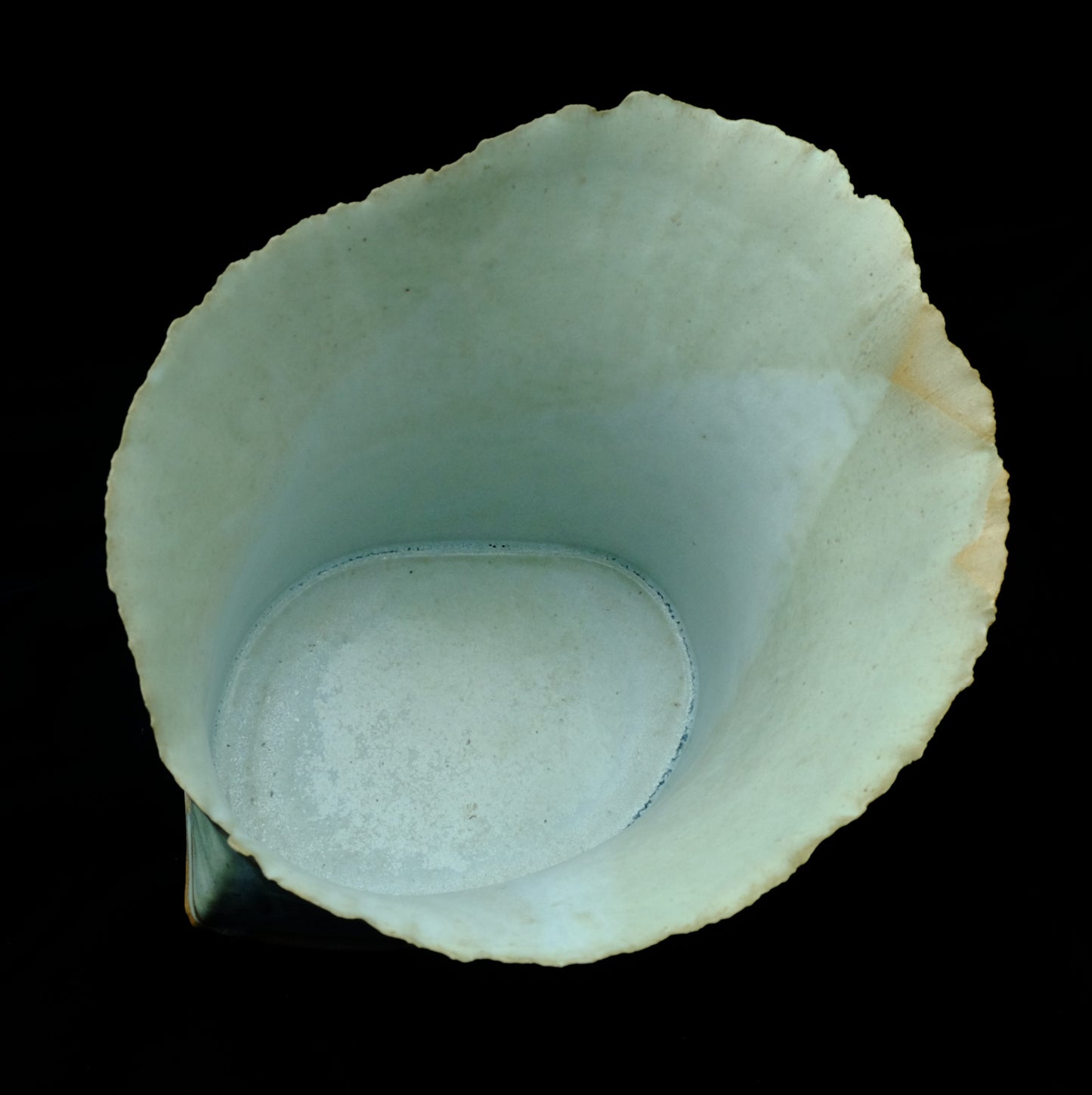 Image at position 3