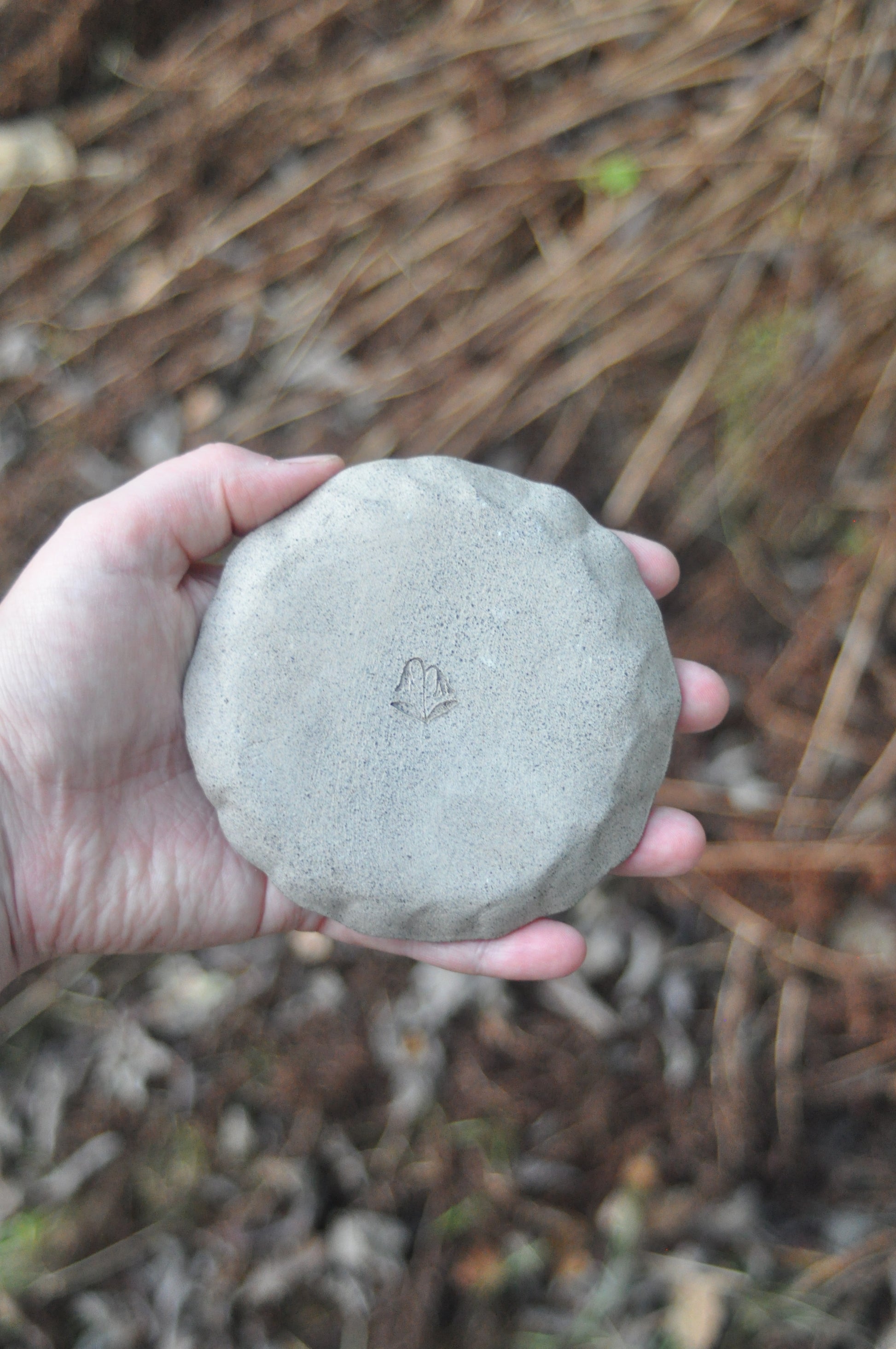 Image at position 4