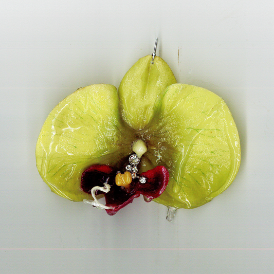 Image at position 1