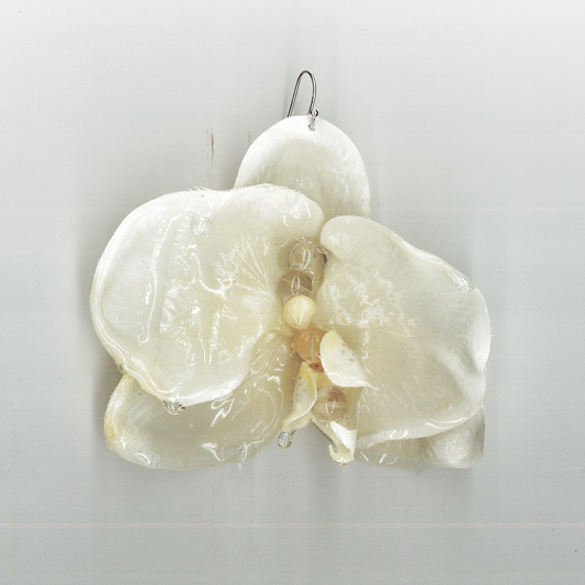 Image at position 1