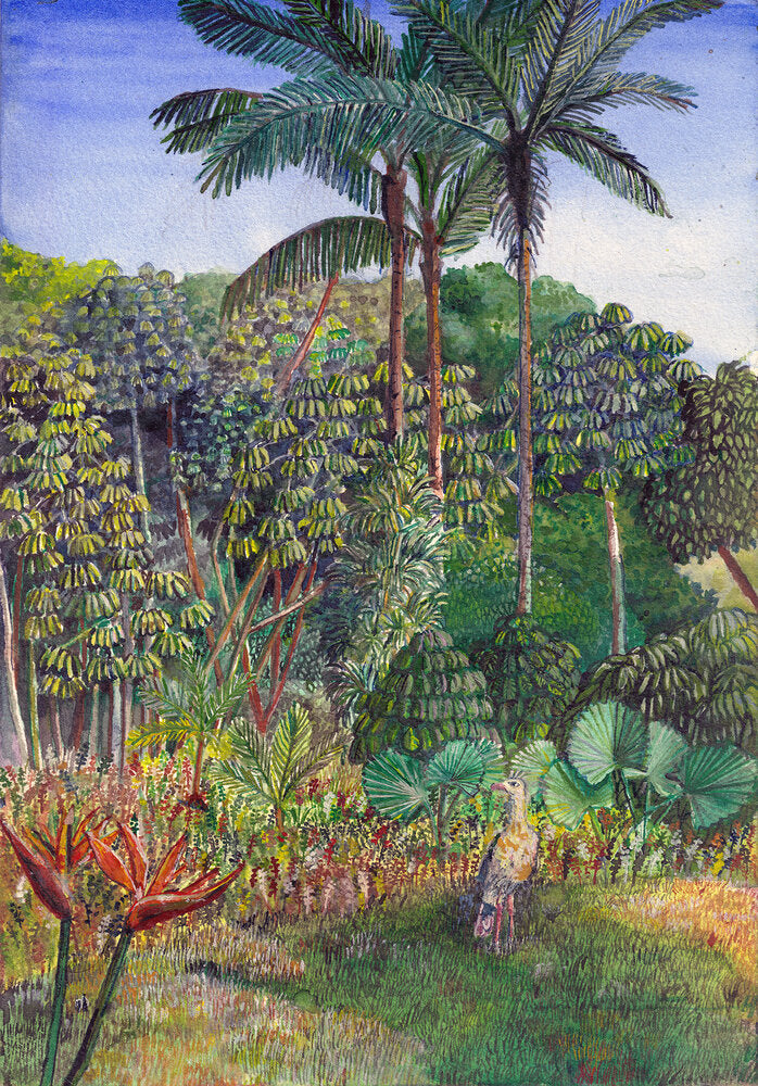 Image at position 1