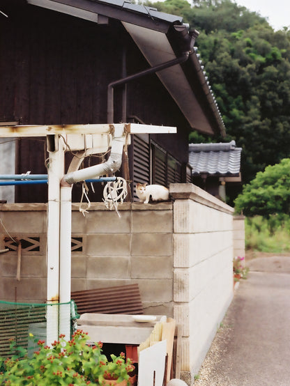 Image at position 3