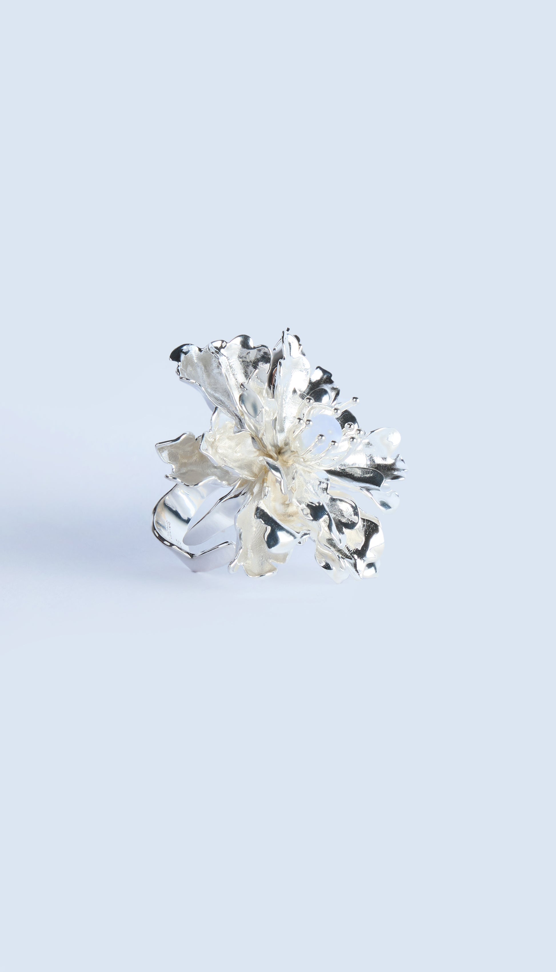 Image at position 3