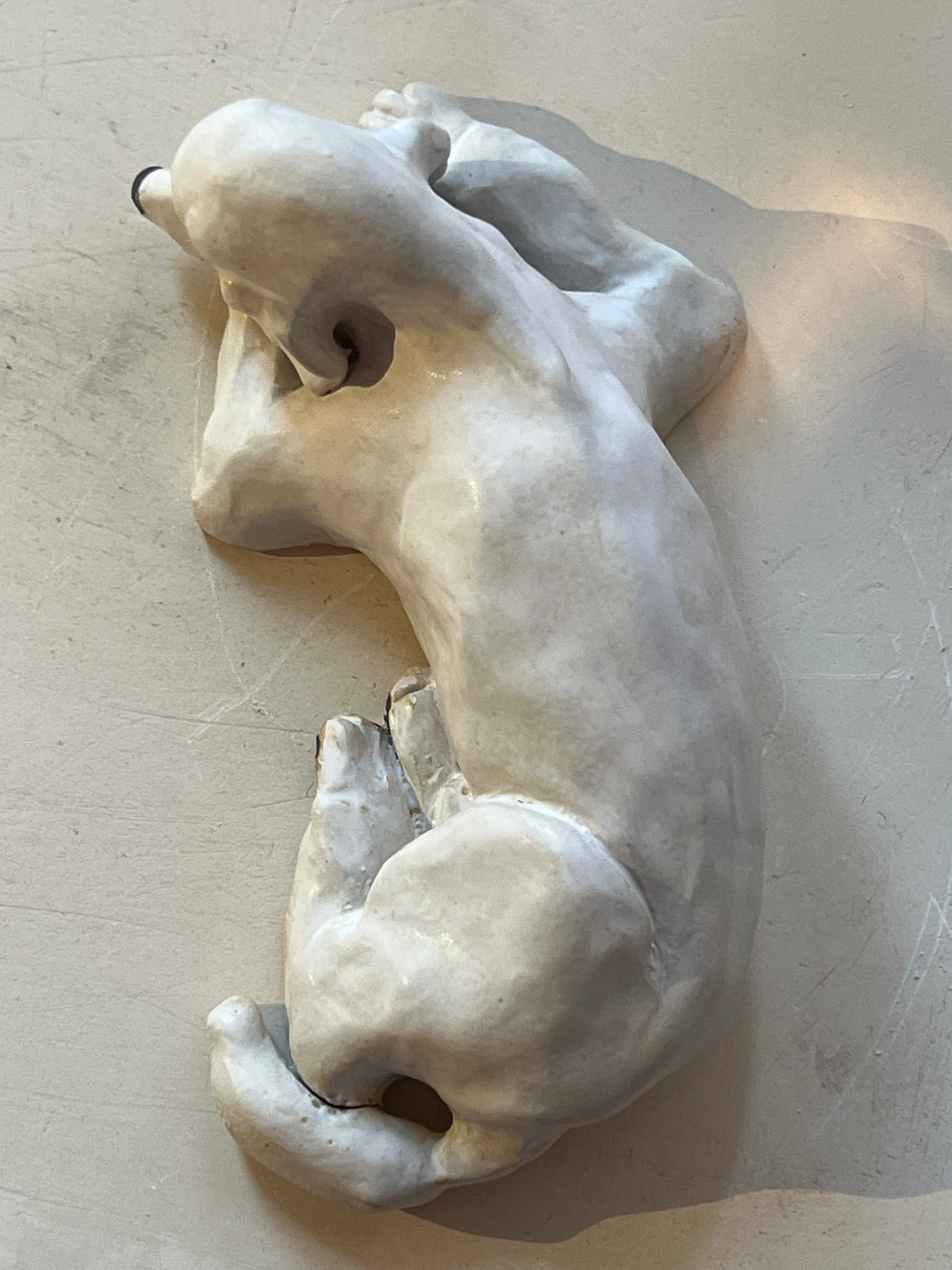 Image at position 6