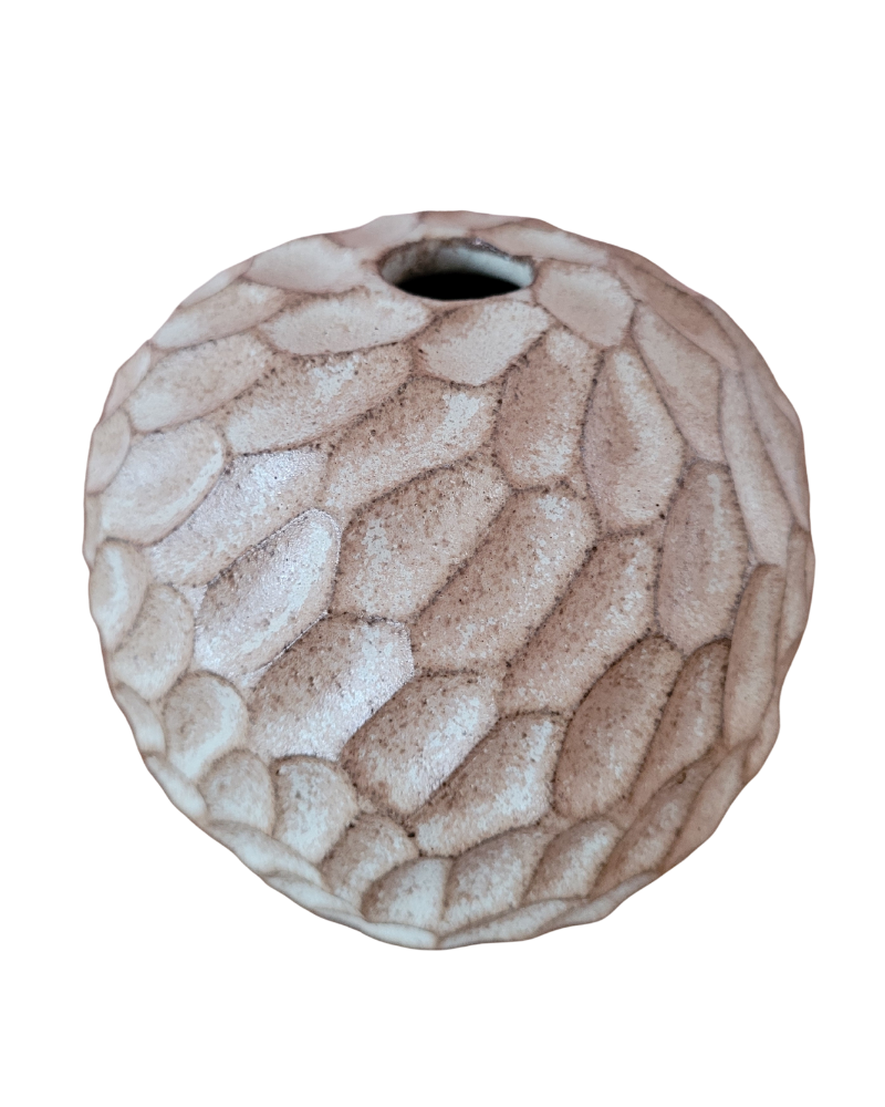 Image at position 11