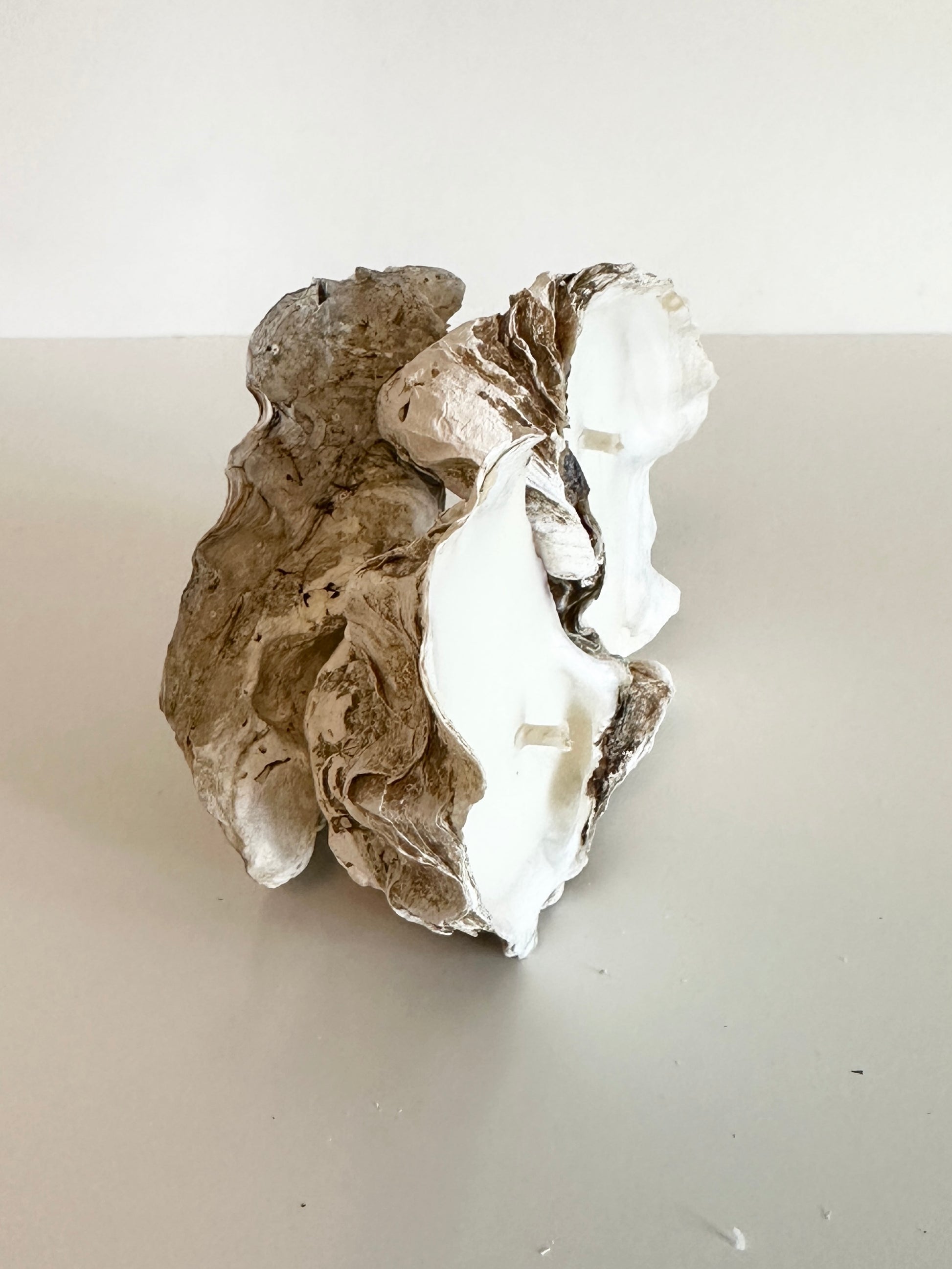Image at position 6