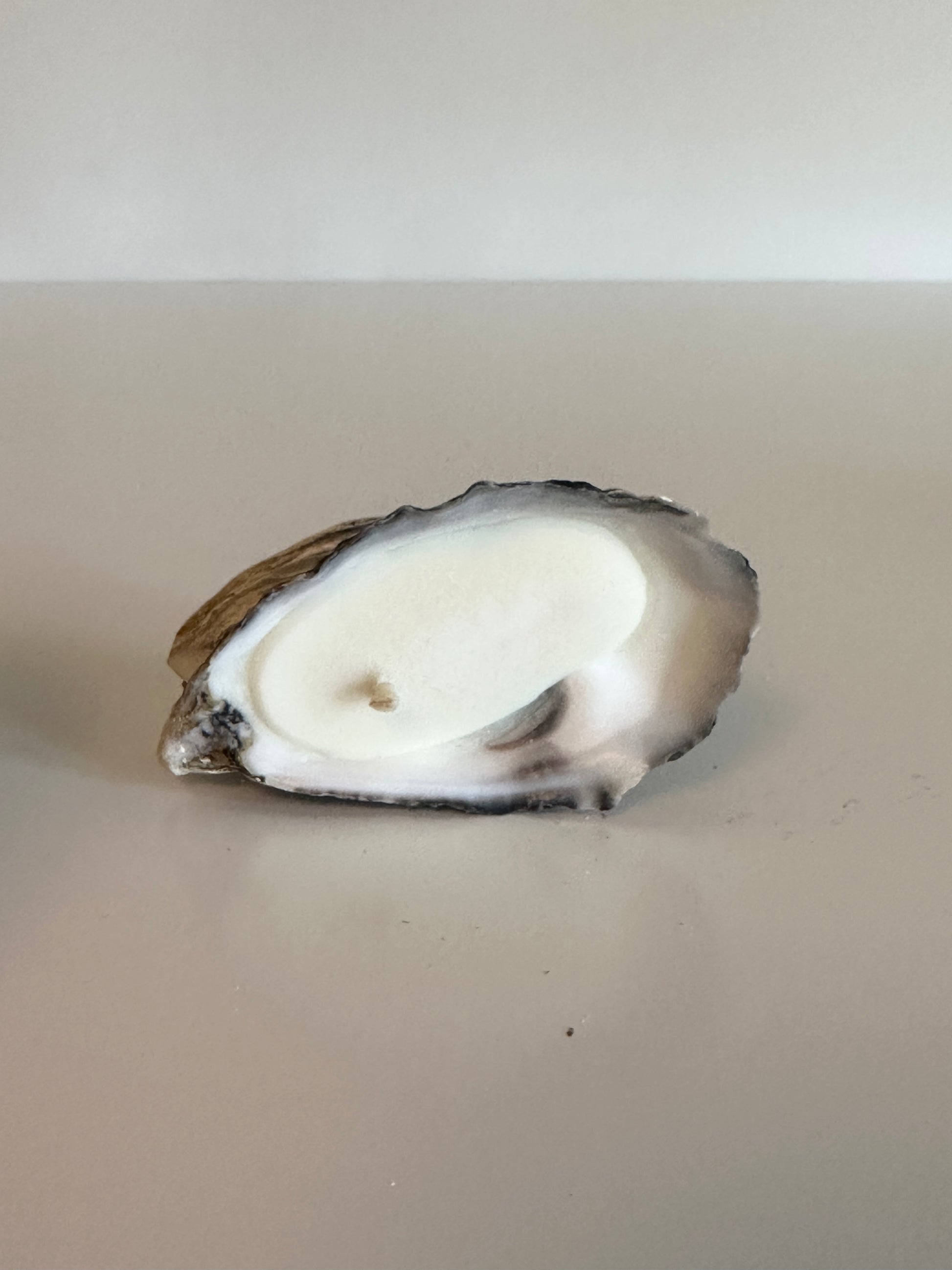 Image at position 8