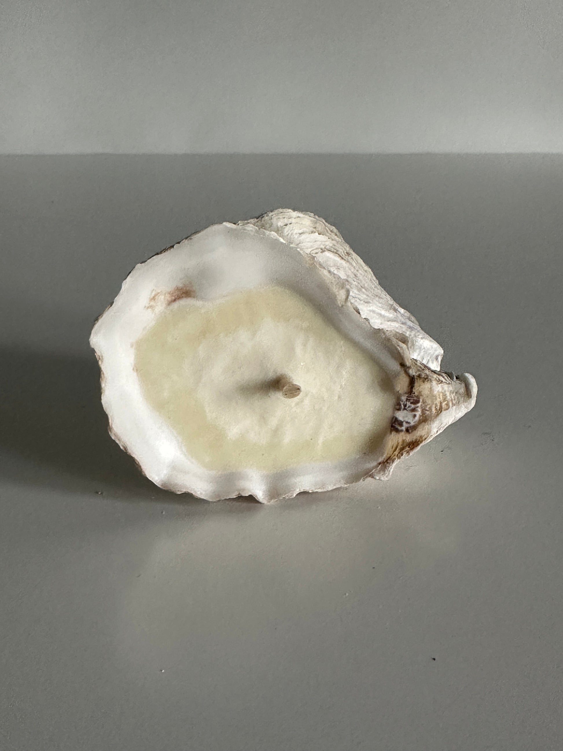 Image at position 8