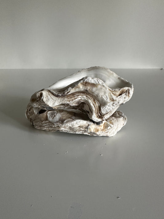 Image at position 1