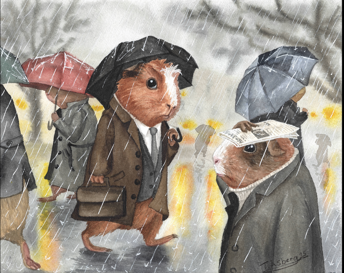 Image at position 13