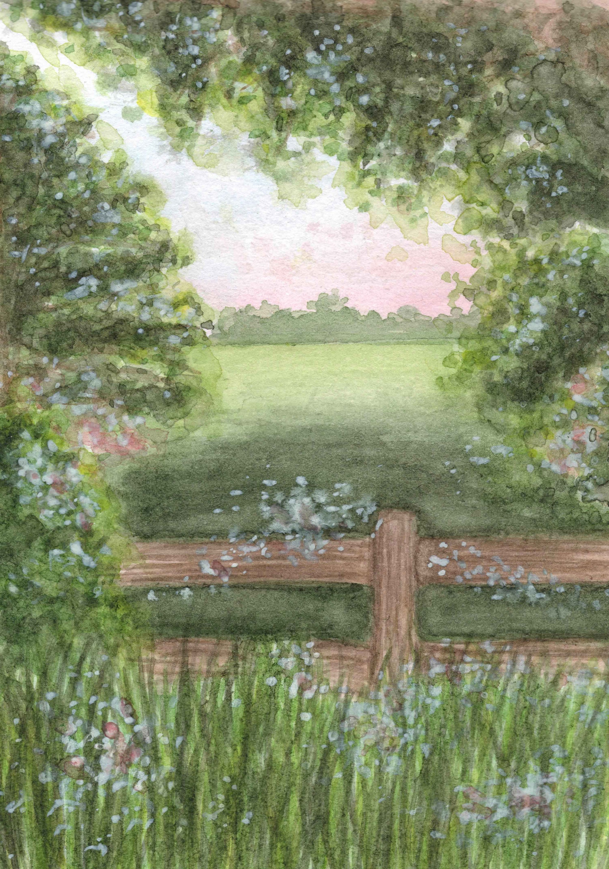 Image at position 2