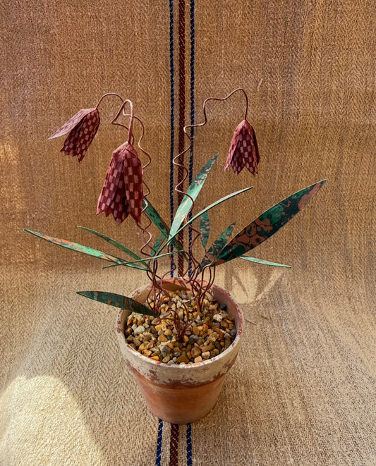 Image at position 1