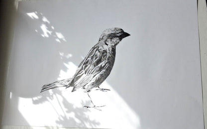 Image at position 2