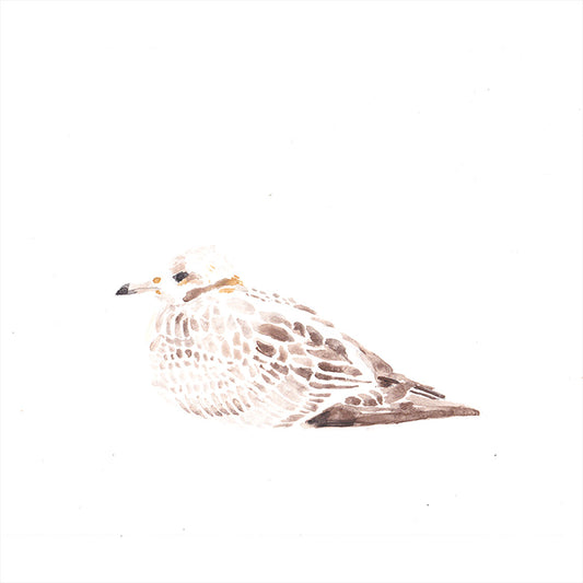 Image at position 1