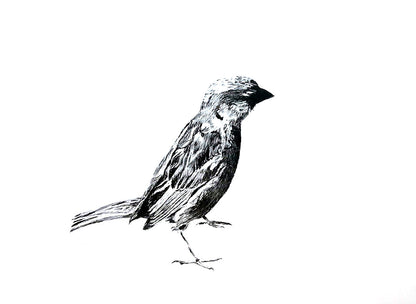 Image at position 1