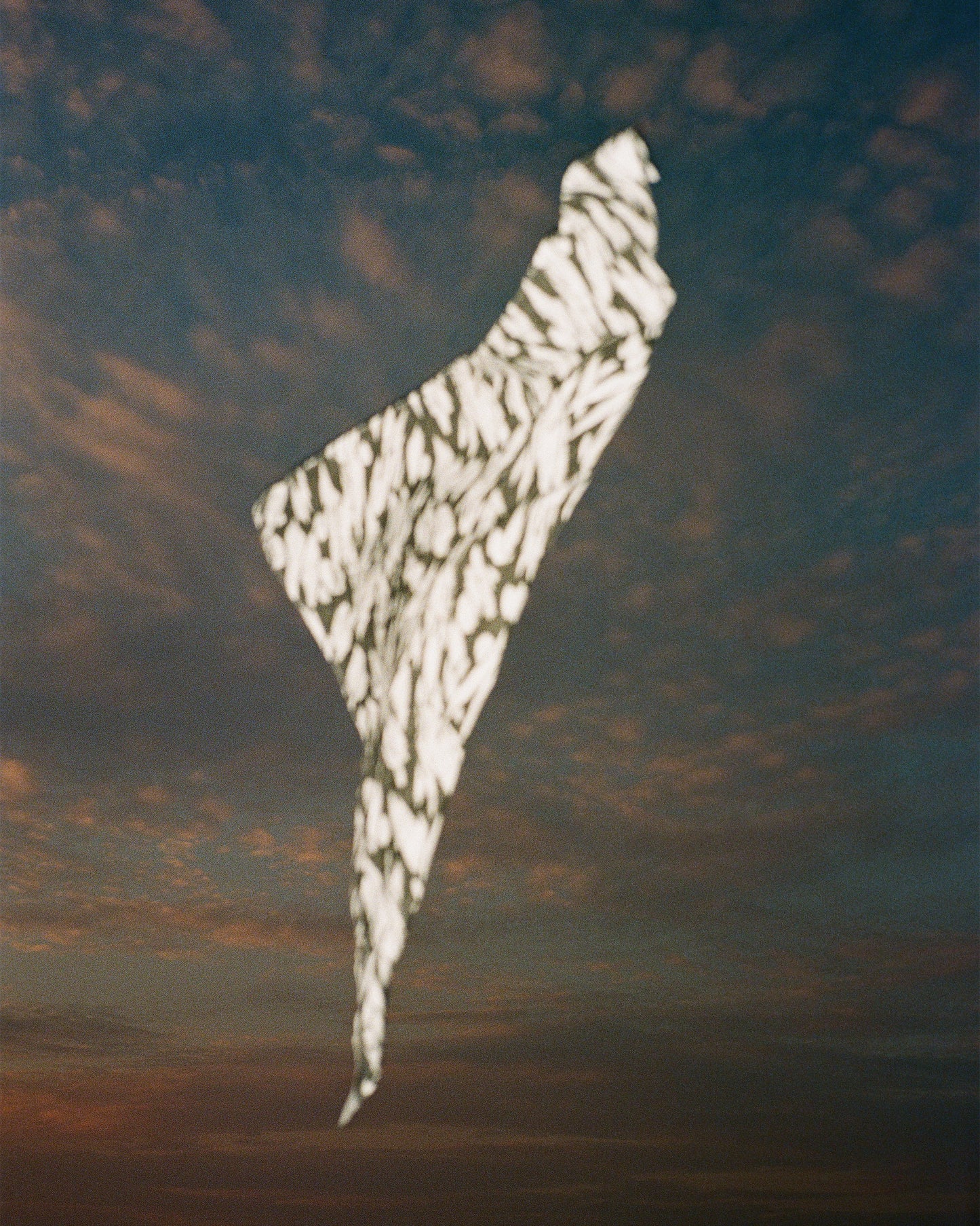 Image at position 3