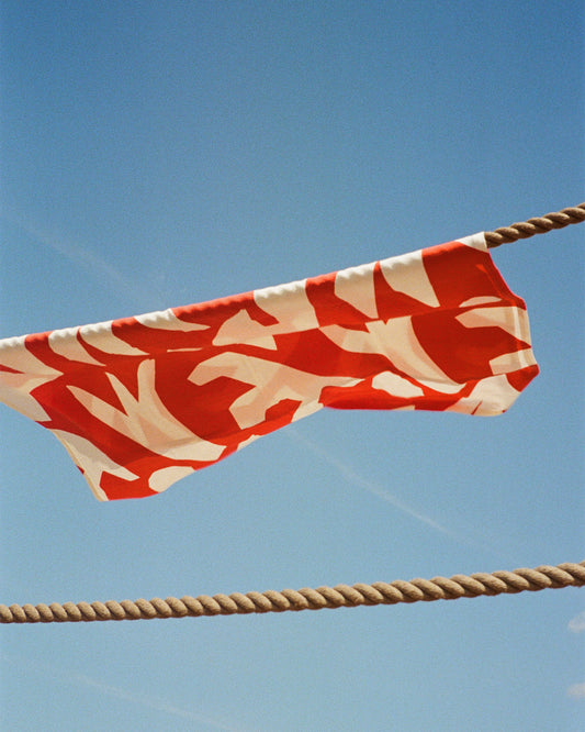 Image at position 2