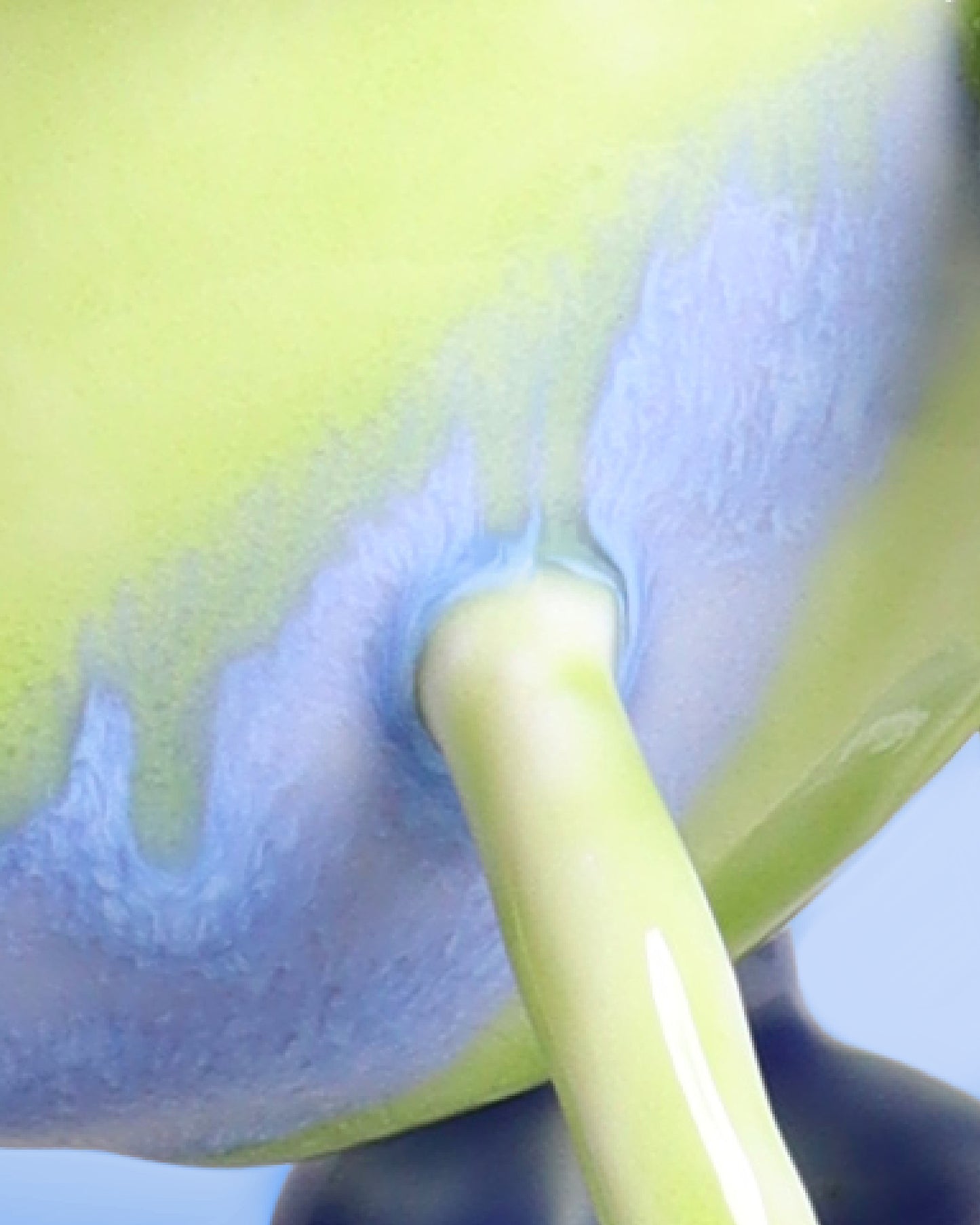 Image at position 4