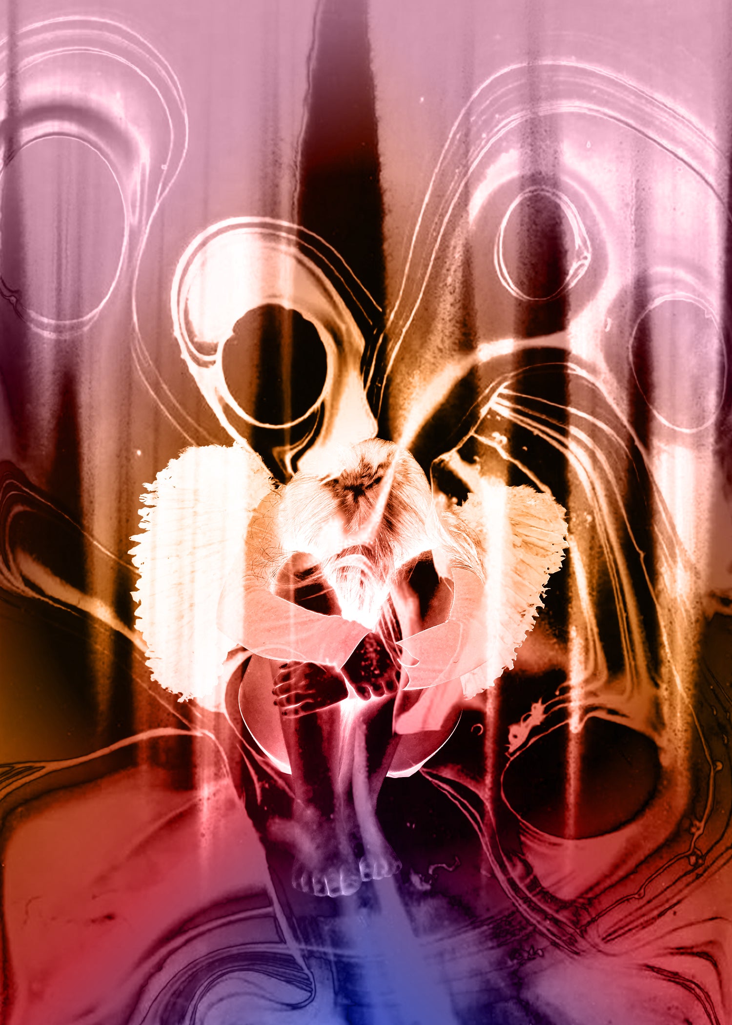 Image at position 1