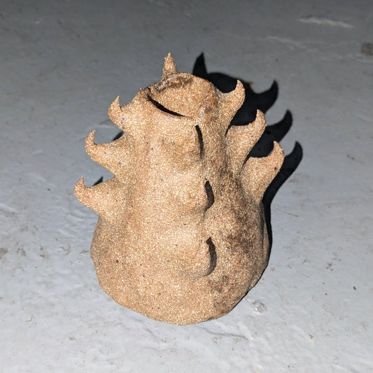 Image at position 1