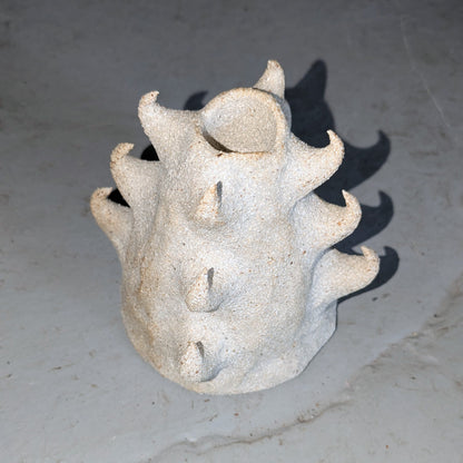 Image at position 1