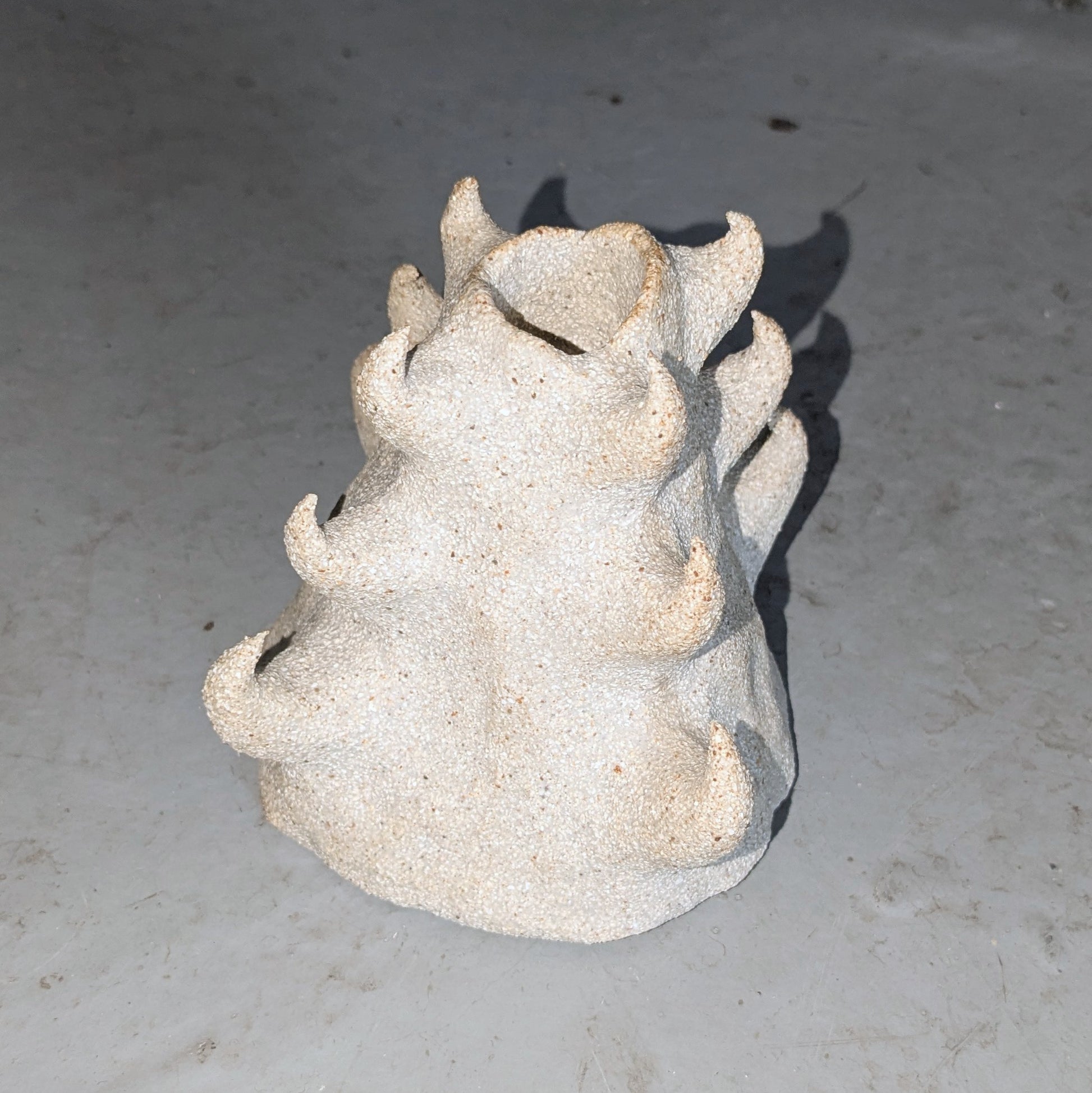 Image at position 1