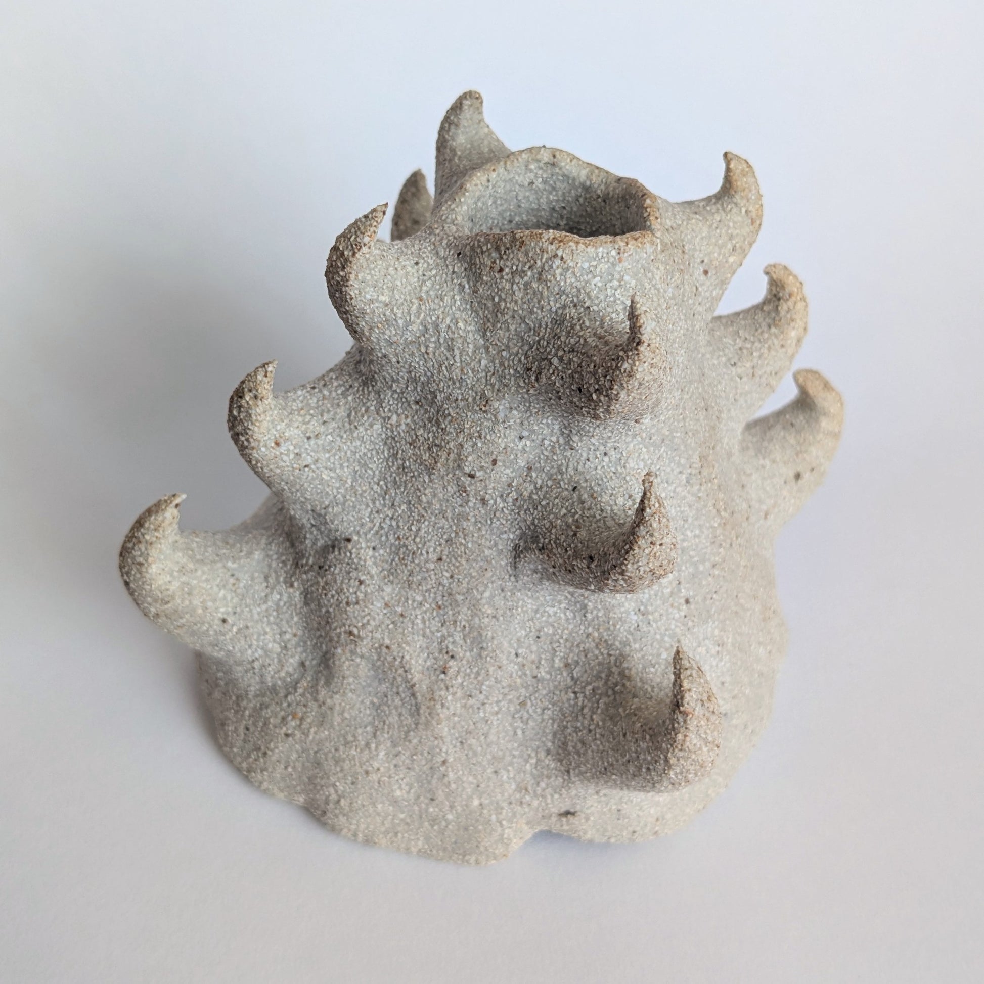 Image at position 2