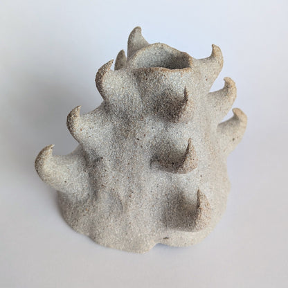 Image at position 2