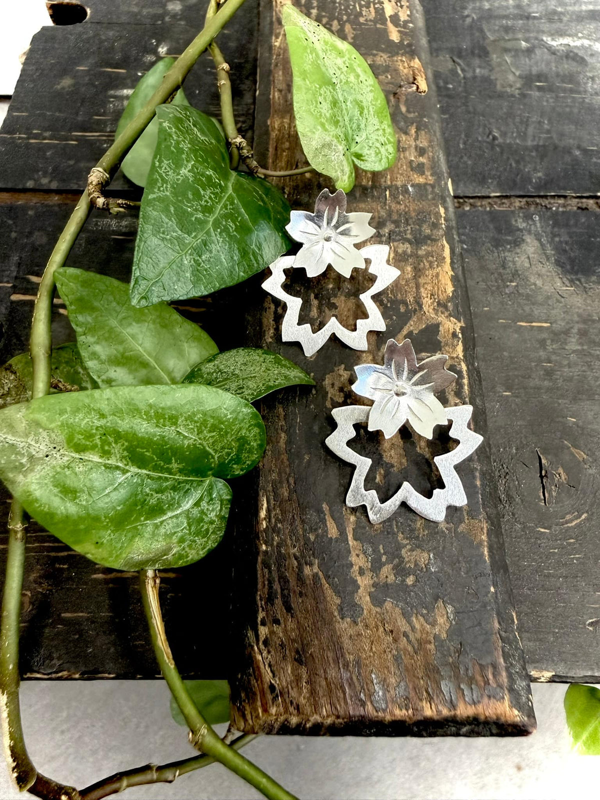 Image at position 1