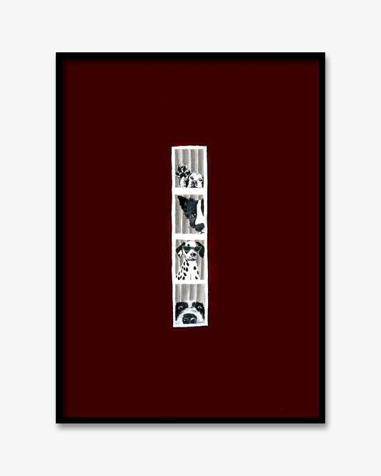 Image at position 1
